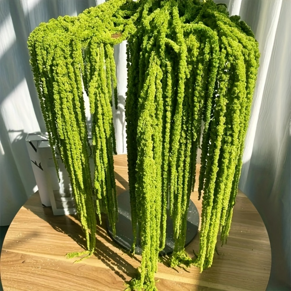 4 Piece Set Artificial Amarant - Monstera Adansonii 评论和价格
