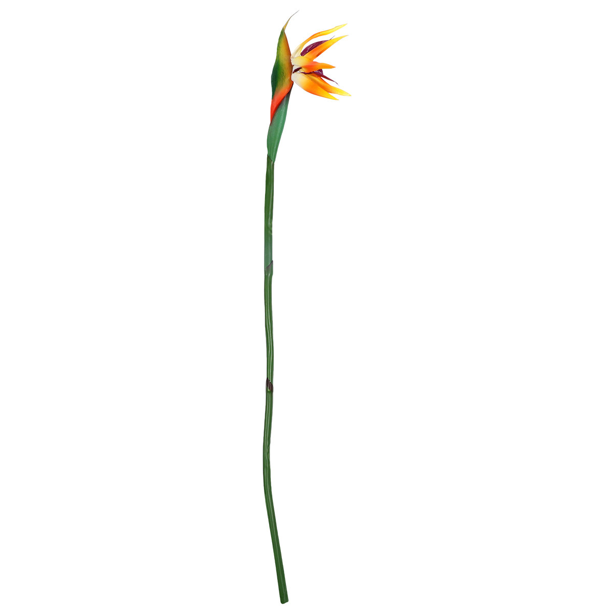 Real Touch Faux Strelitzia Flo - Bird Paradise Strelitzia 评论和价格