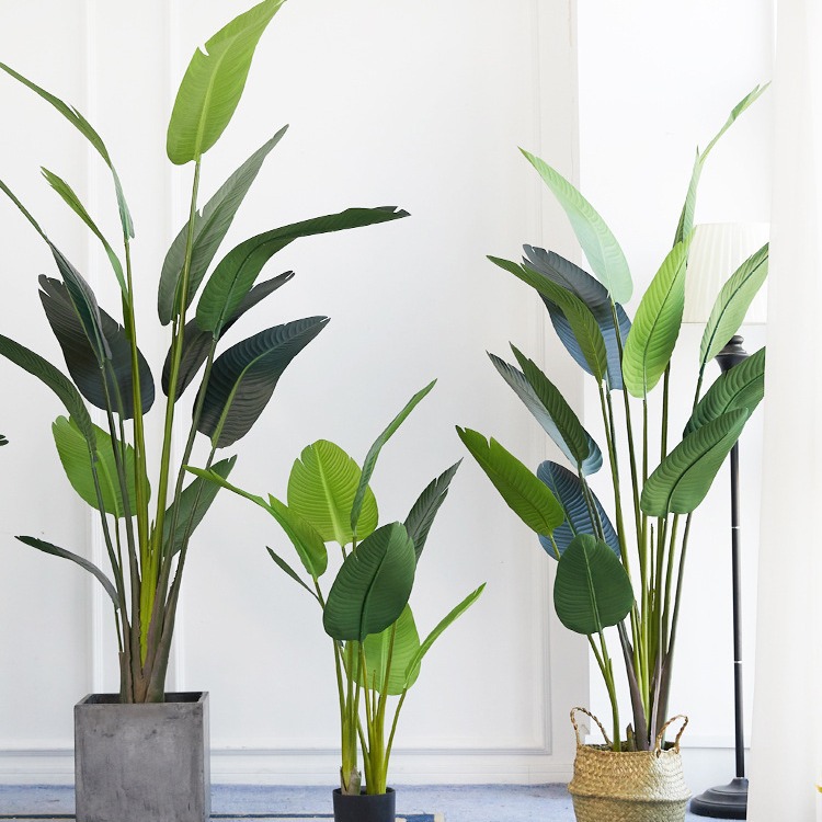 Artificial Plastic Potted ​Pla - Bird Paradise Strelitzia 评论和价格