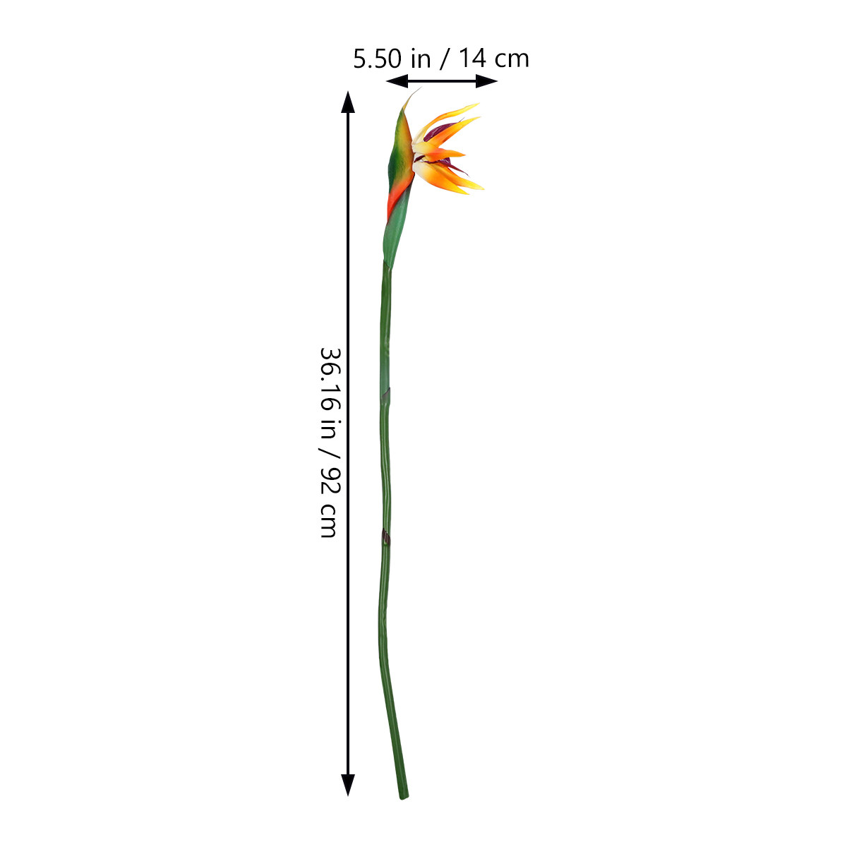 Faux Bird of Paradise Artifici - Bird Paradise Strelitzia 评论和价格